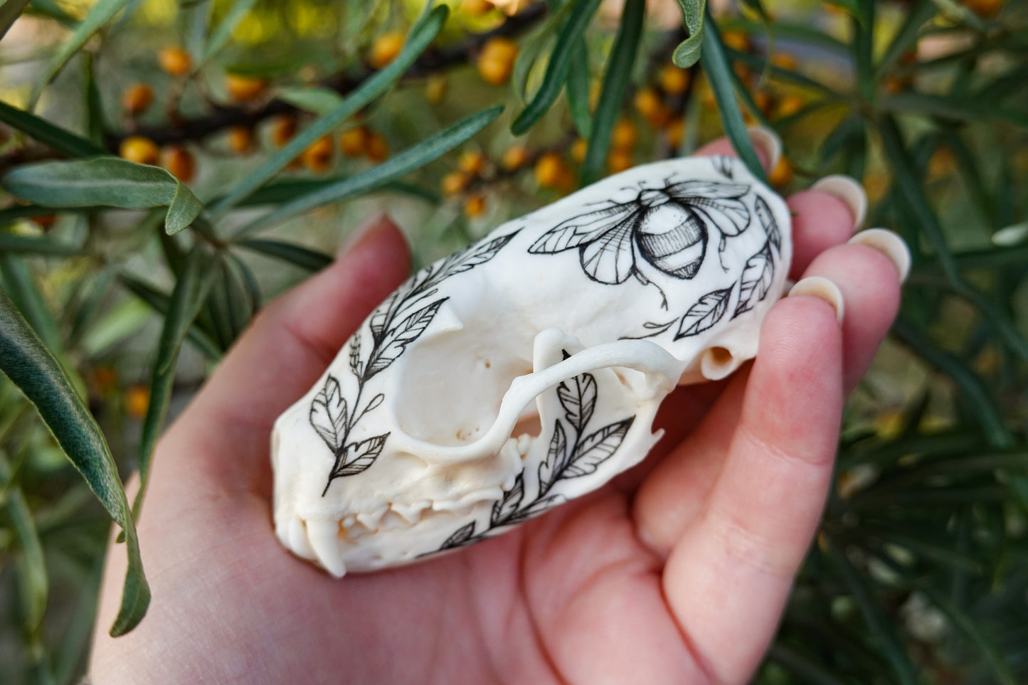 Hand painted marten skull