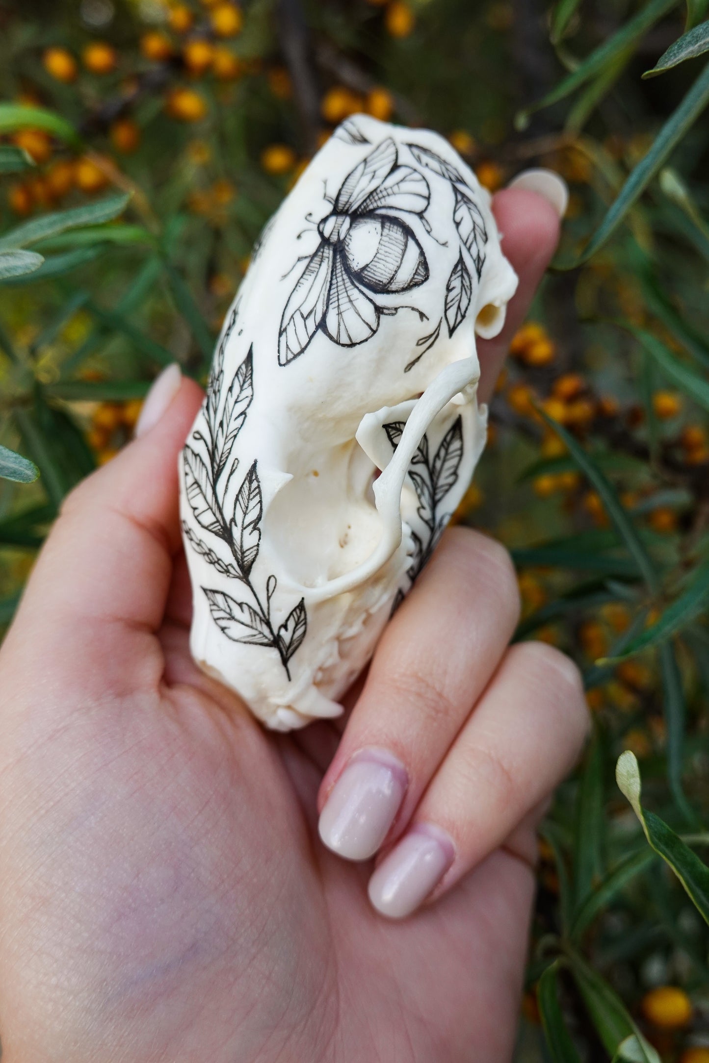 Hand painted marten skull