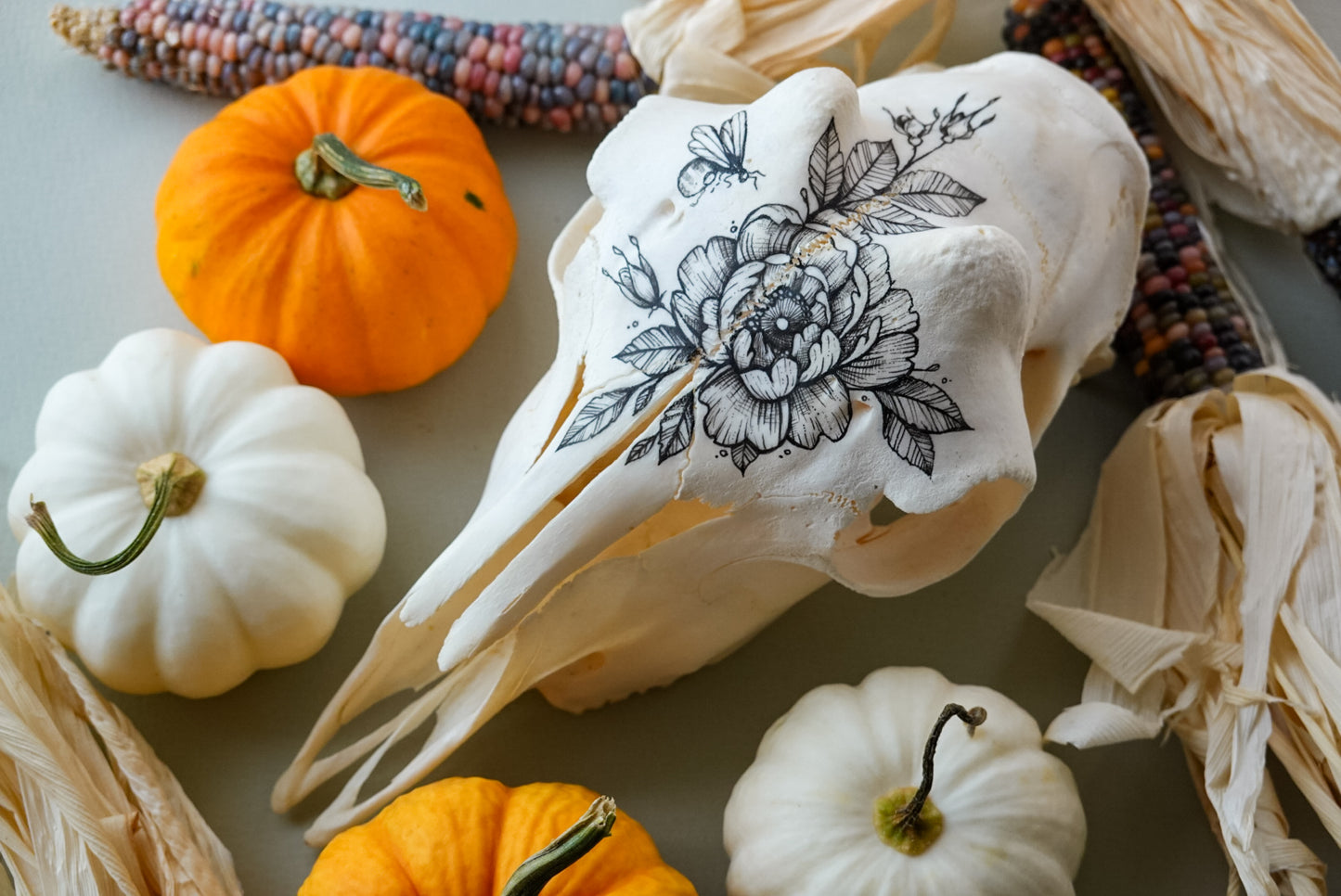 Hand painted skull of goat