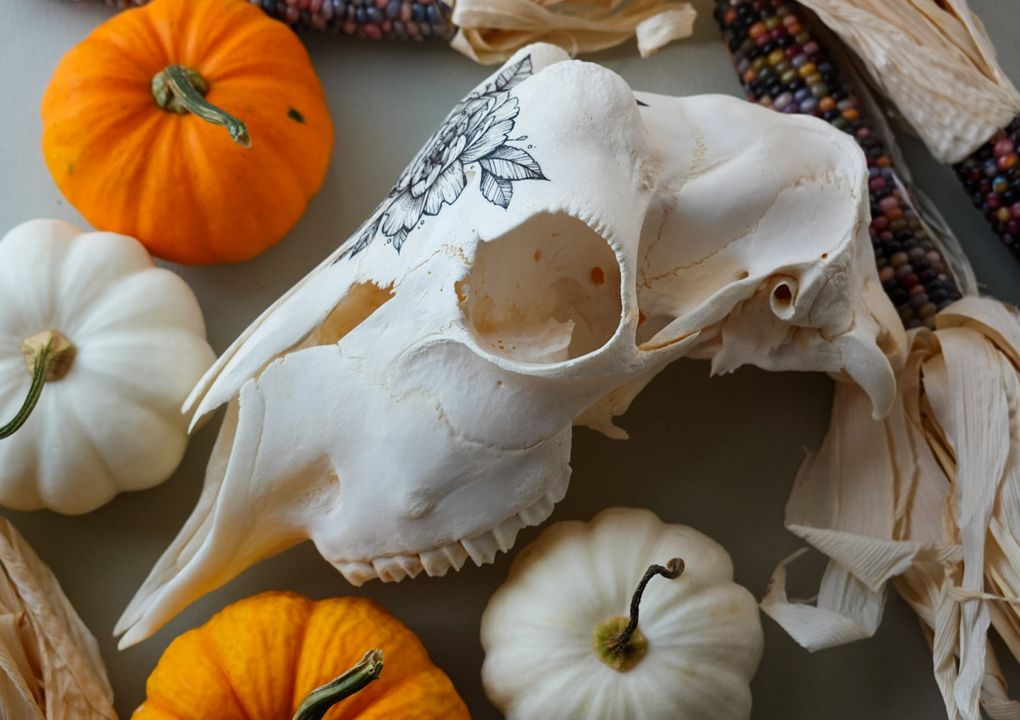 Hand painted skull of goat