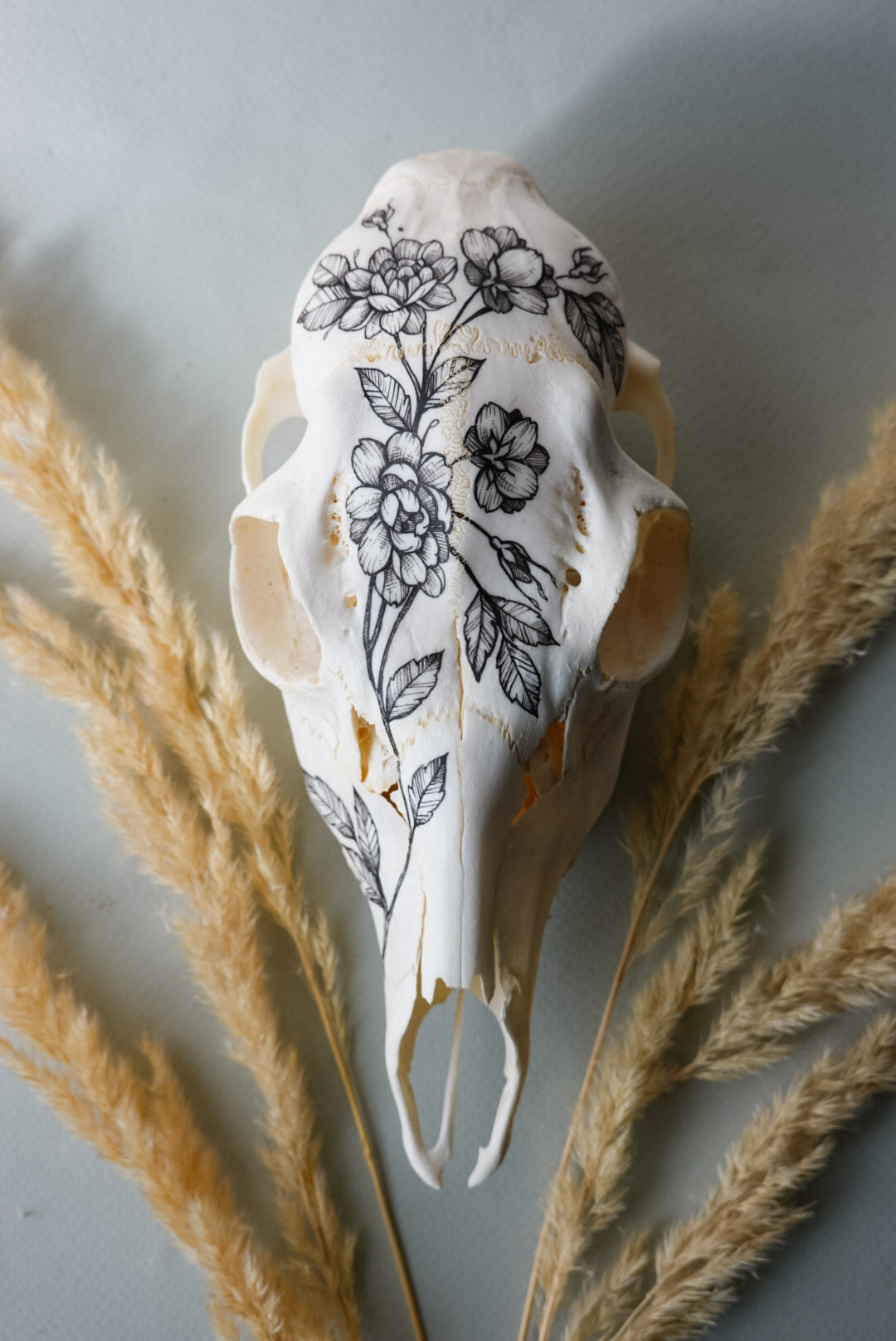 Hand painted skull of roe deer