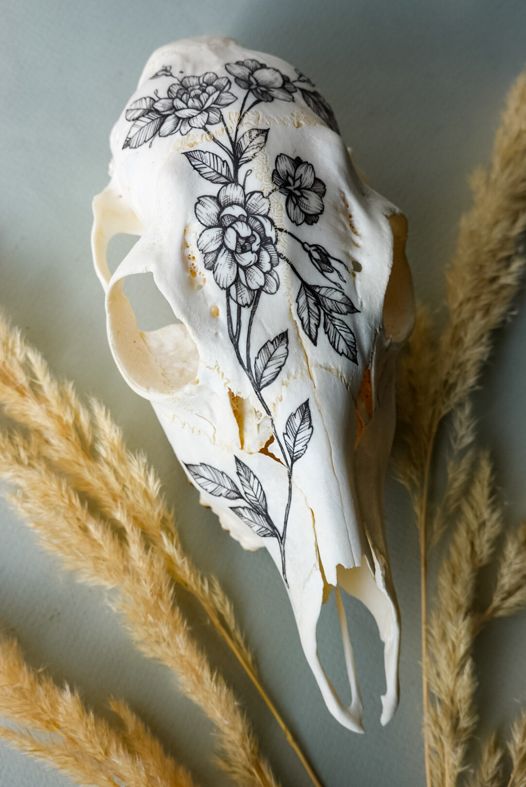 Hand painted skull of roe deer