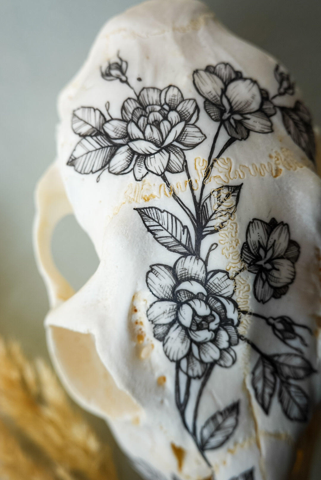 Hand painted skull of roe deer