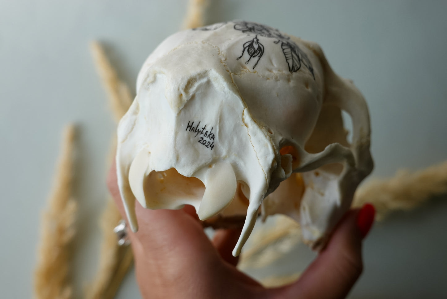 Hand painted skull of roe deer