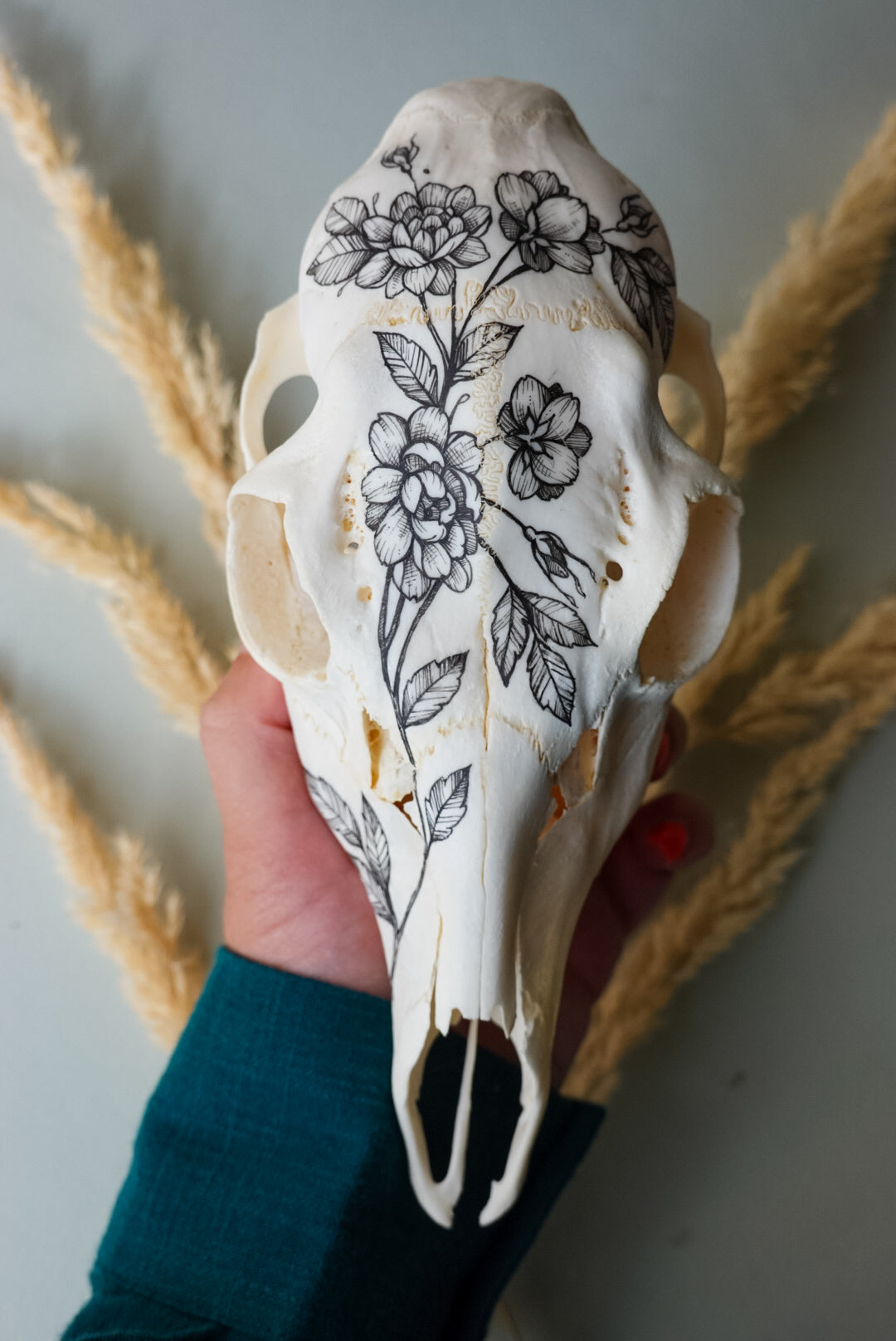 Hand painted skull of roe deer