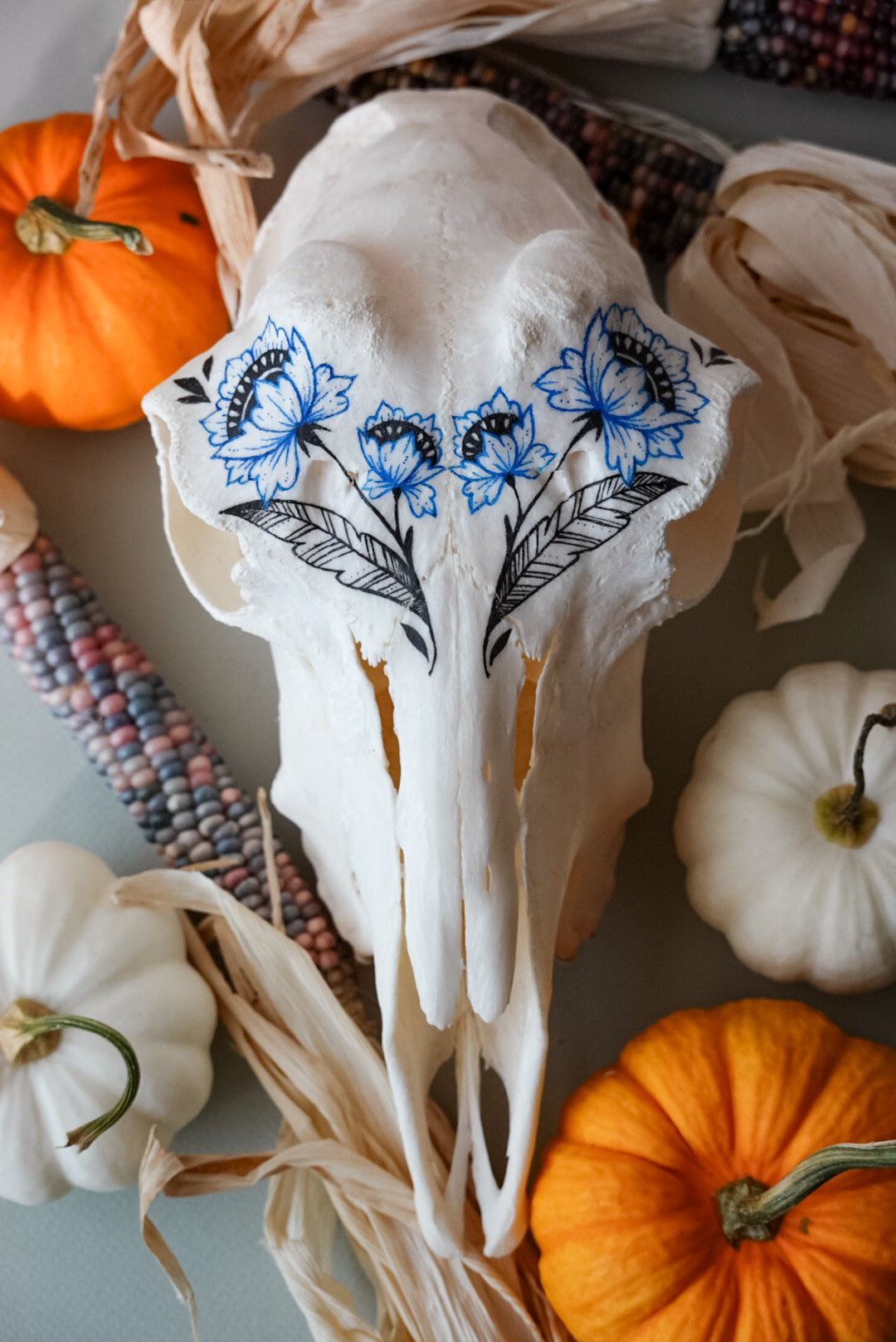 Hand painted skull of goat