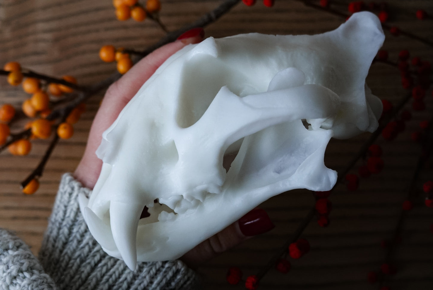Replica of a Tiger Skull – Precision Scanned from the Real Specimen