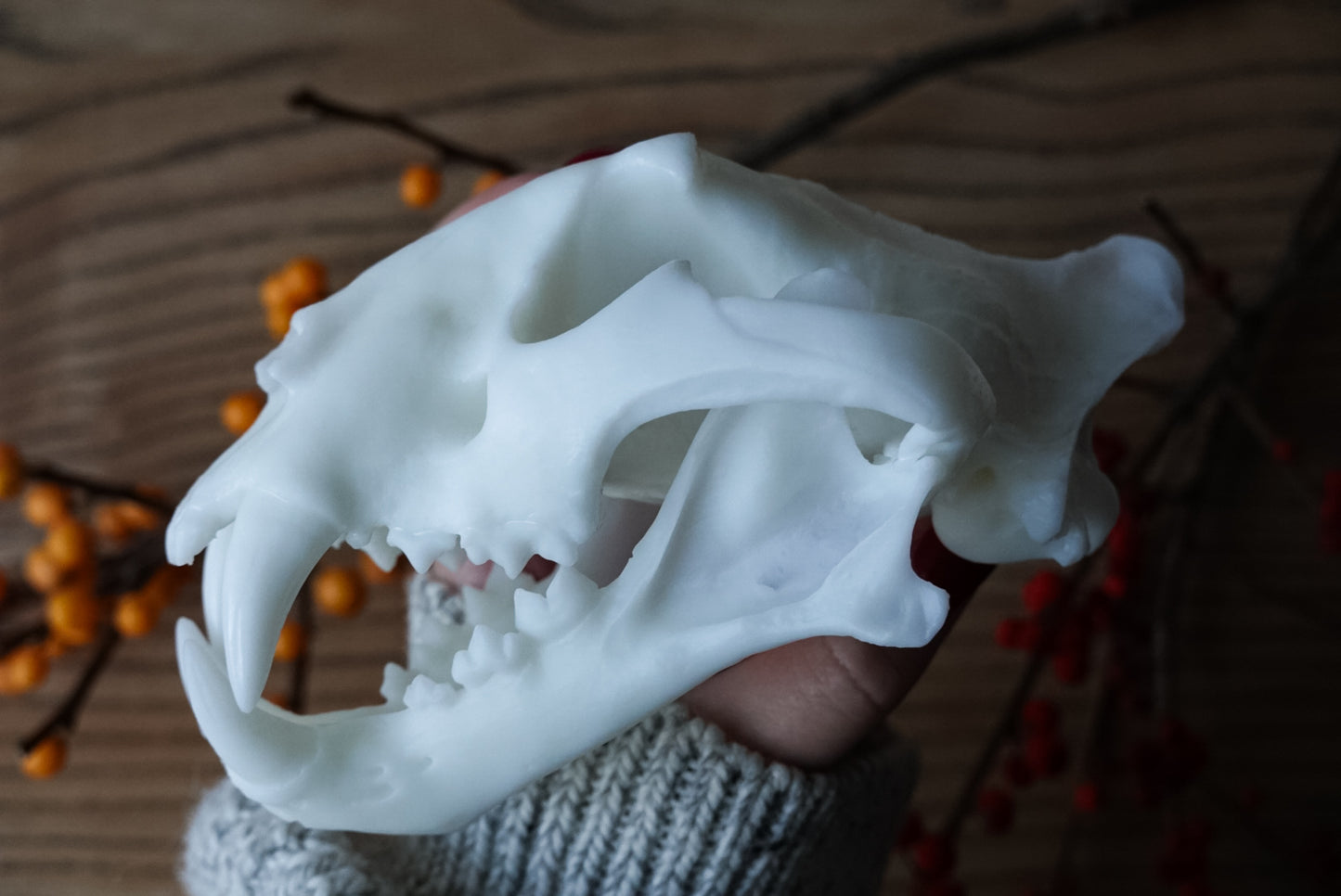 Replica of a Tiger Skull – Precision Scanned from the Real Specimen