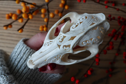 Hand carved Japanese raccoon dog skull