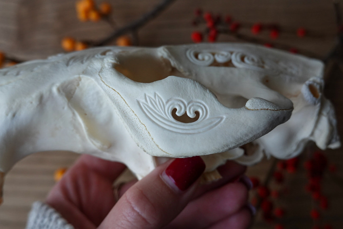 Hand-Carved Beaver Skull