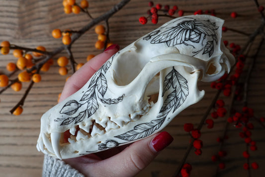 Hand painted fox skull