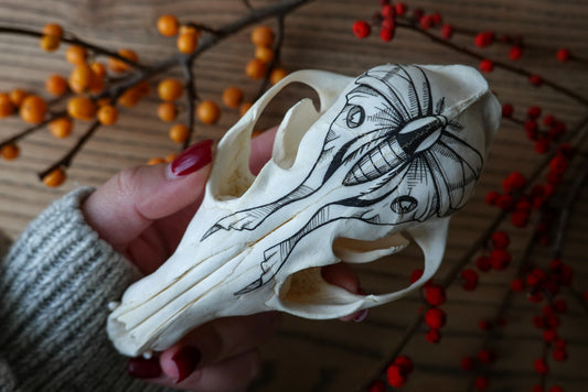 Hand painted fox skull