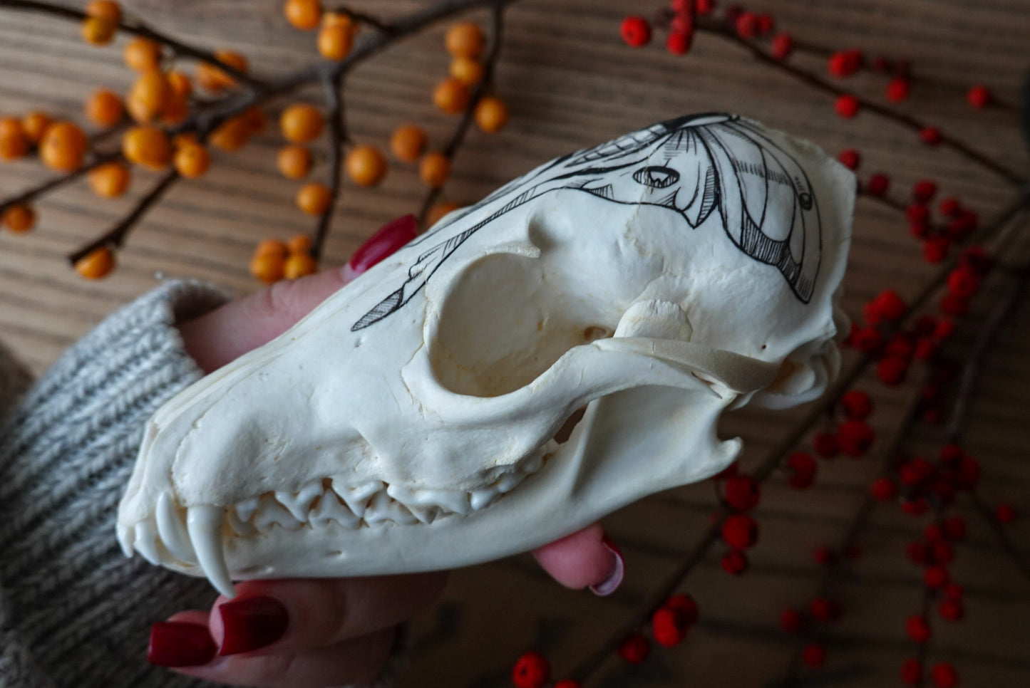 Hand painted fox skull
