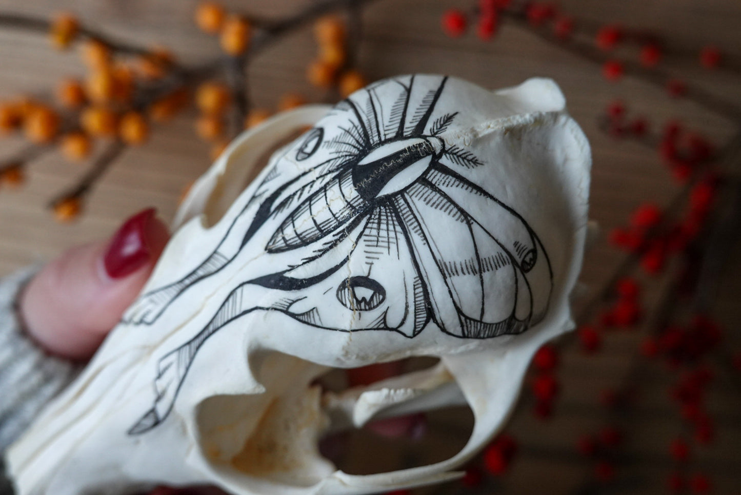 Hand painted fox skull