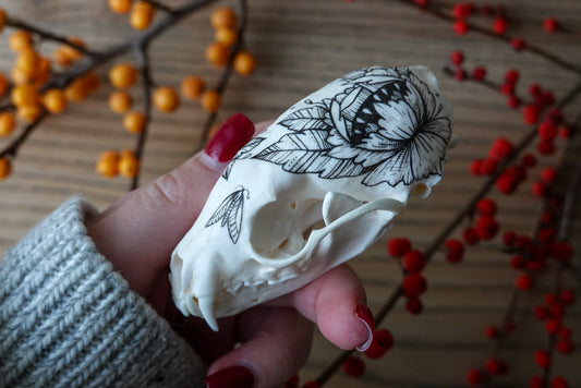 Hand painted marten skull