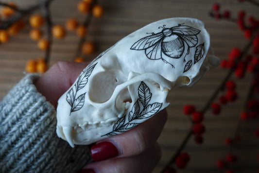 Hand painted marten skull