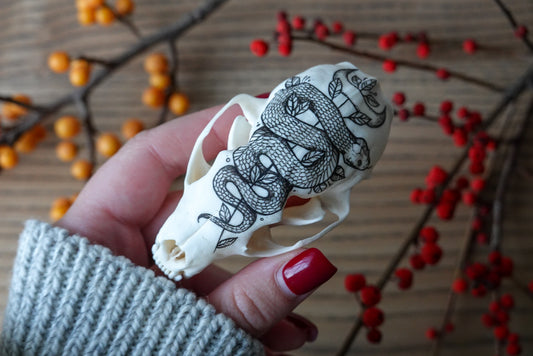 Hand painted marten skull