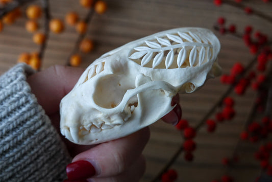 Hand-Carved Marten Skull