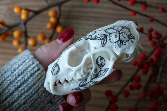 Hand painted marten skull