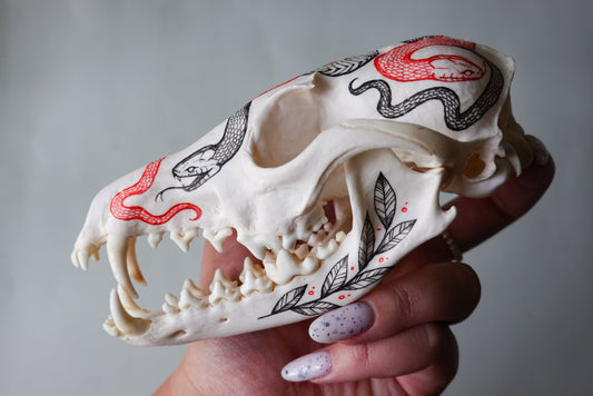 Hand painted fox skull