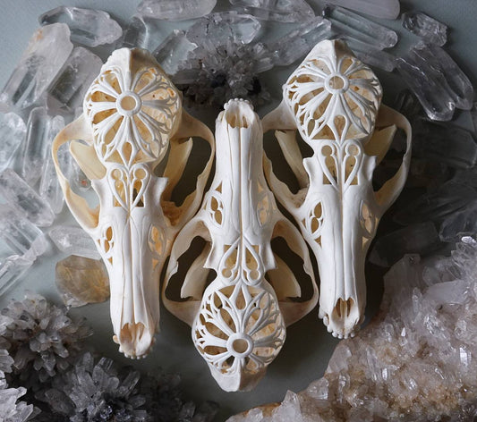 Hand-Carved Fox Skull