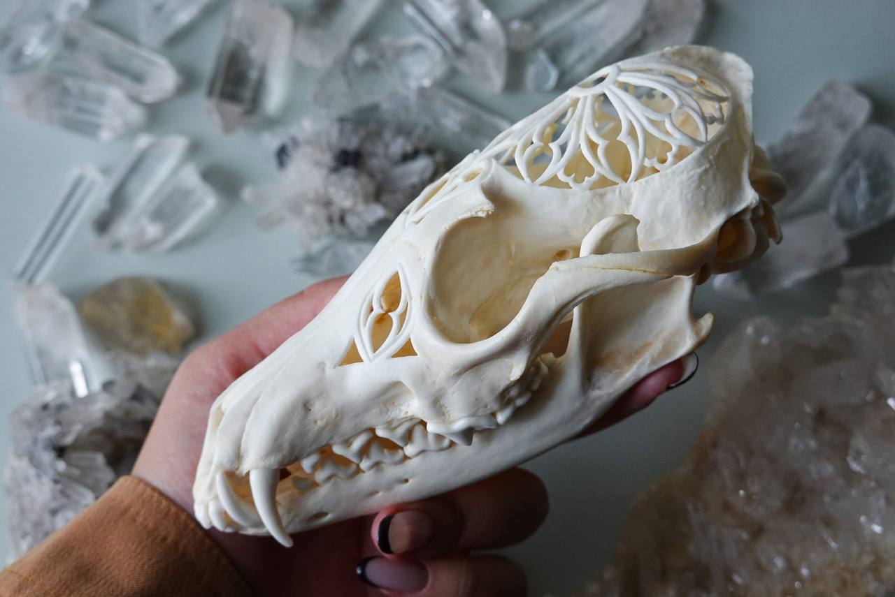 Hand-Carved Fox Skull