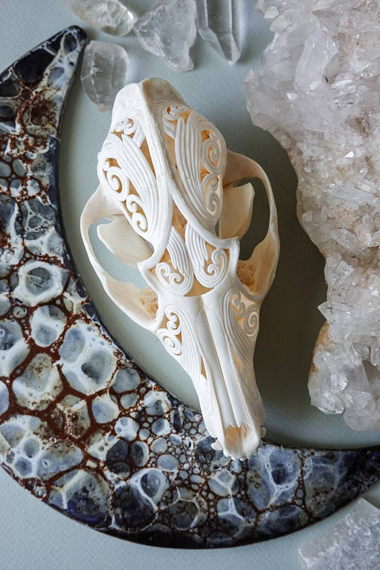 Hand-Carved Fox Skull