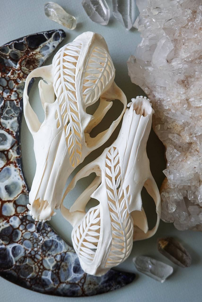 Hand-Carved Fox Skull