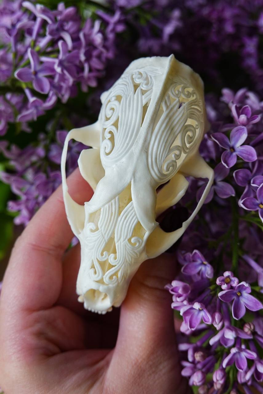 Hand-Carved Marten Skull