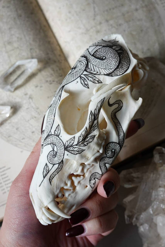 Hand painted fox skull