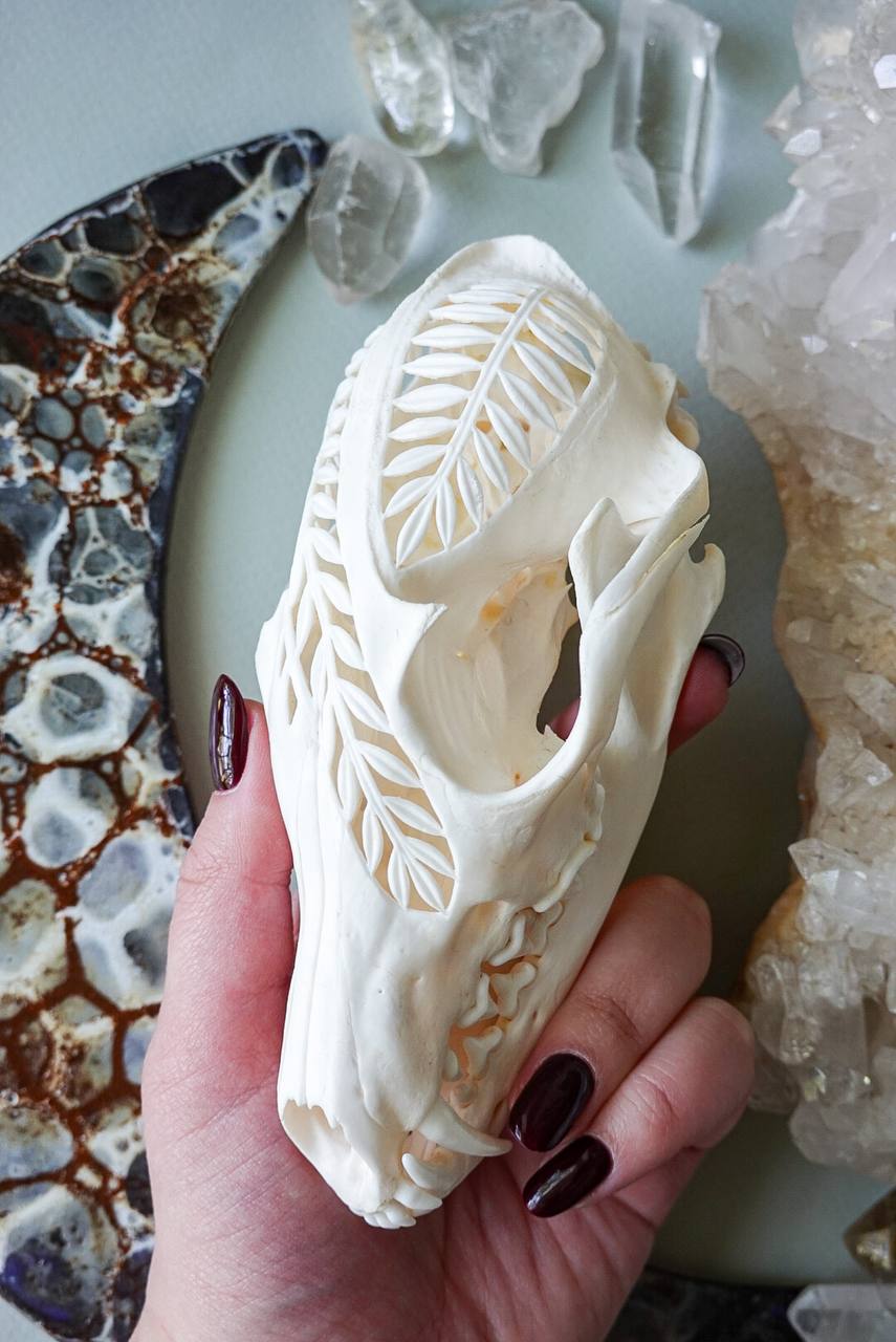 Hand-Carved Fox Skull