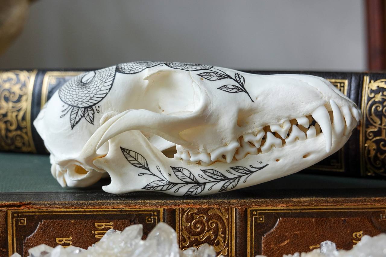 Hand painted fox skull