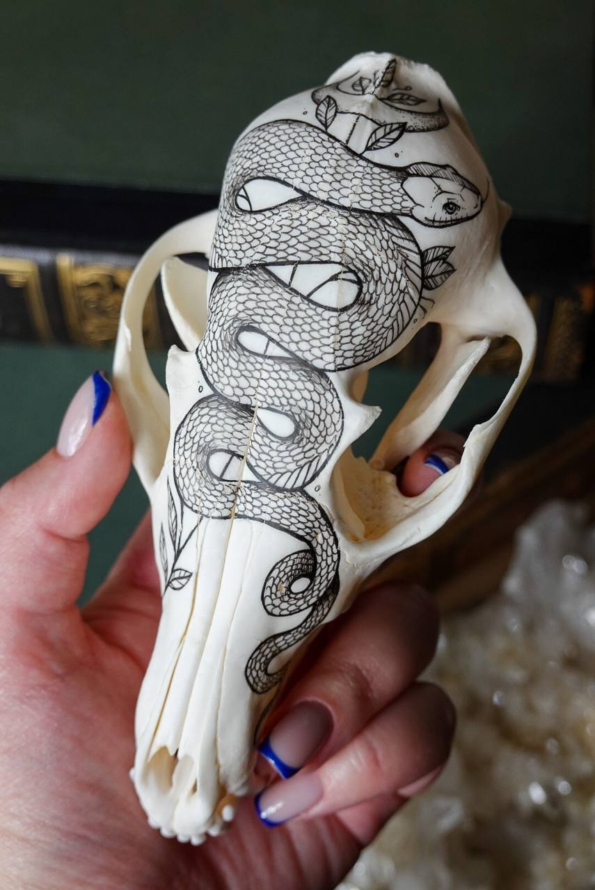 Hand painted fox skull
