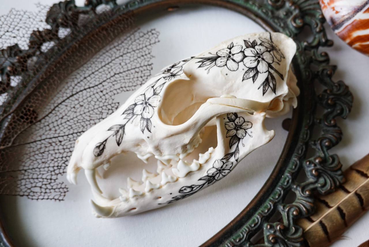 Hand painted fox skull