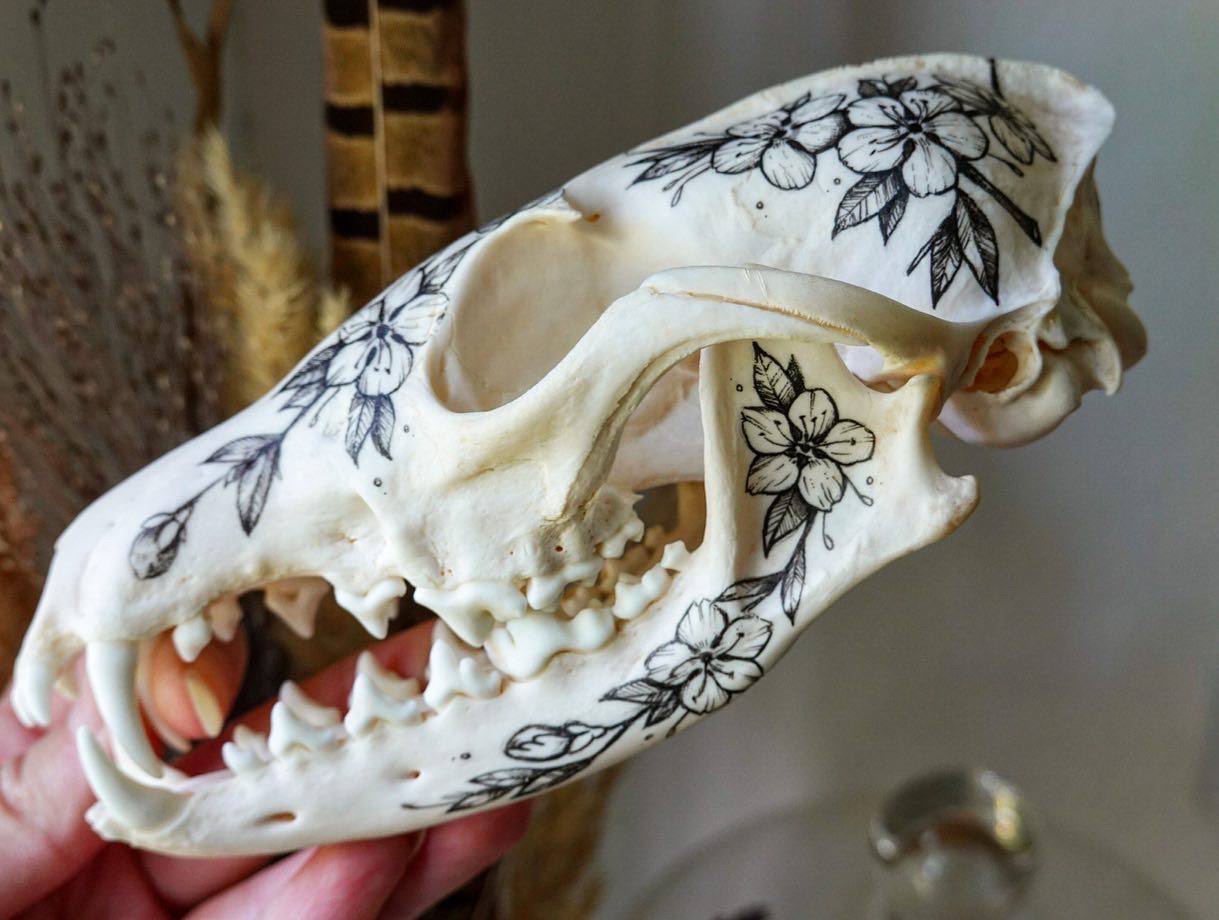 Hand painted fox skull