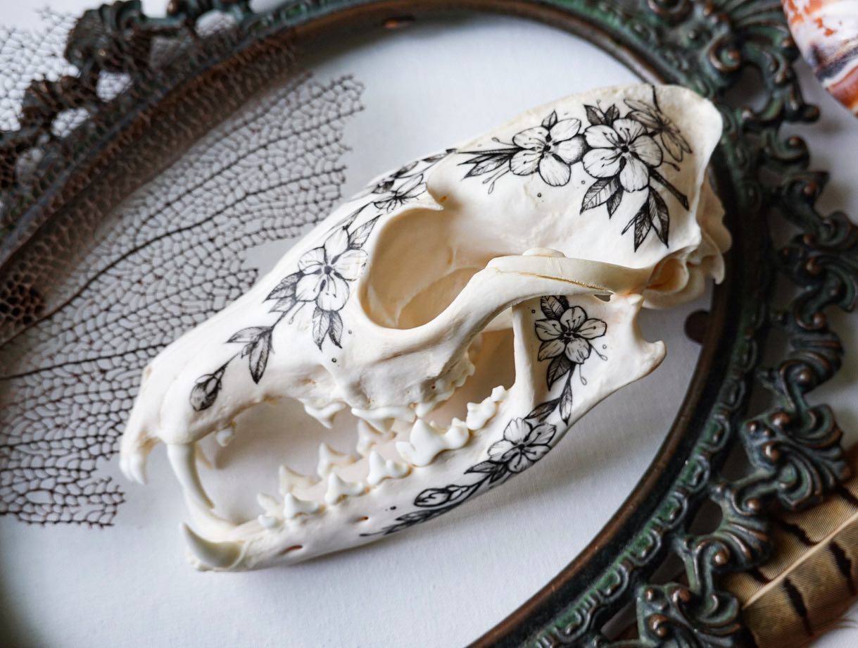 Hand painted fox skull